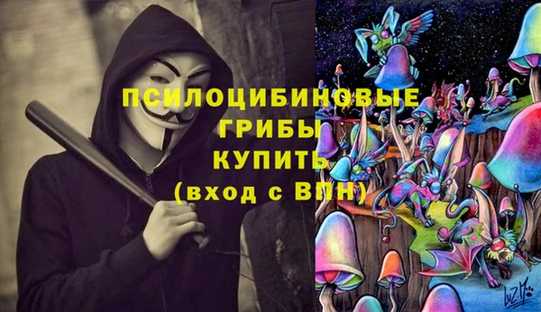 мяу мяу мука Горнозаводск